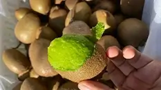 题目图片